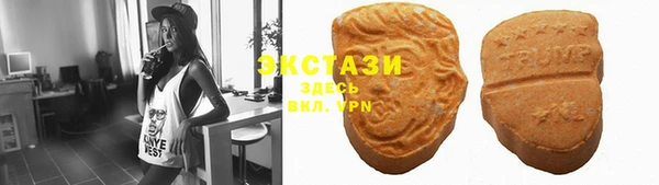 первитин Богданович