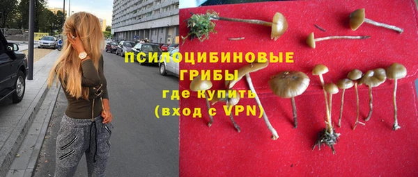Альфа ПВП Богородск