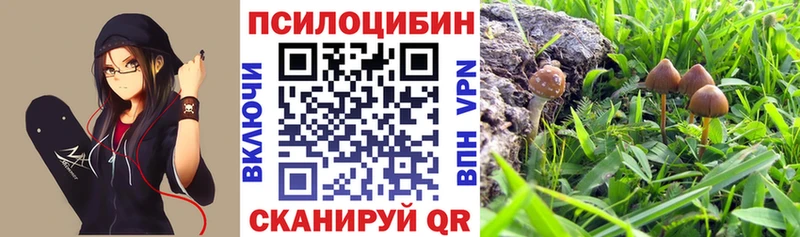 Псилоцибиновые грибы Magic Shrooms  Невельск 
